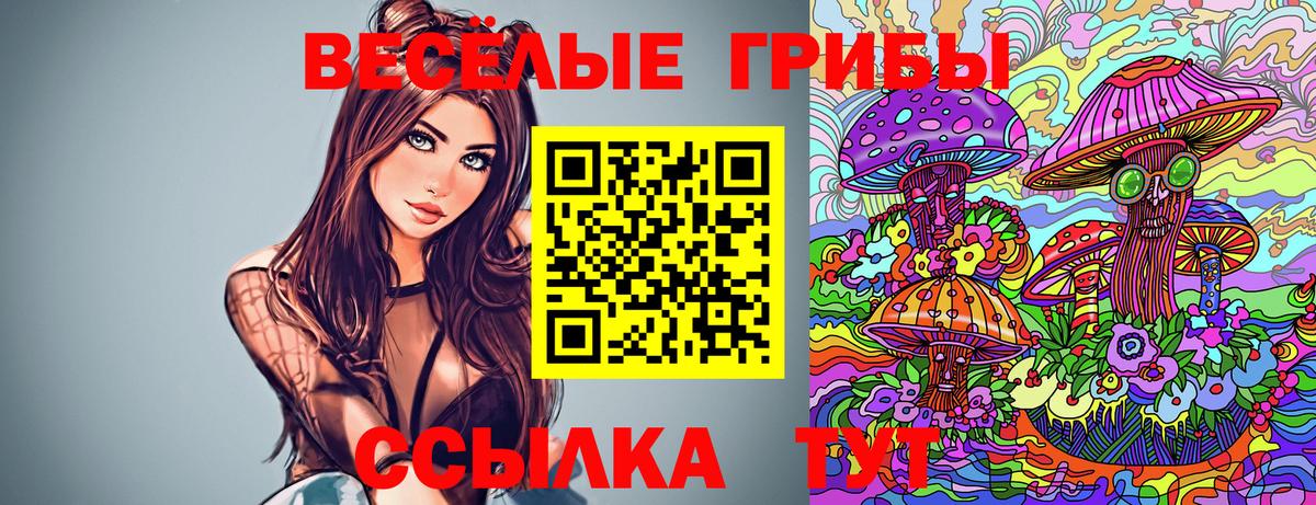 Псилоцибиновые грибы прущие грибы Ачинск